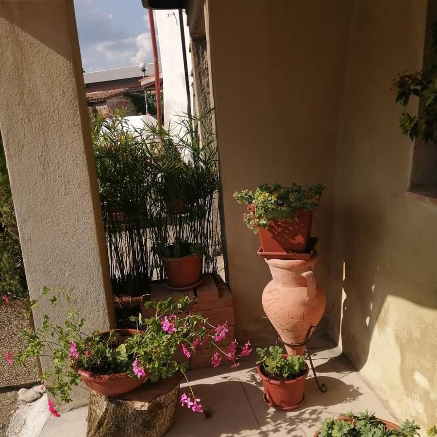 A Casa Mia Hotel Città di Castello Buitenkant foto